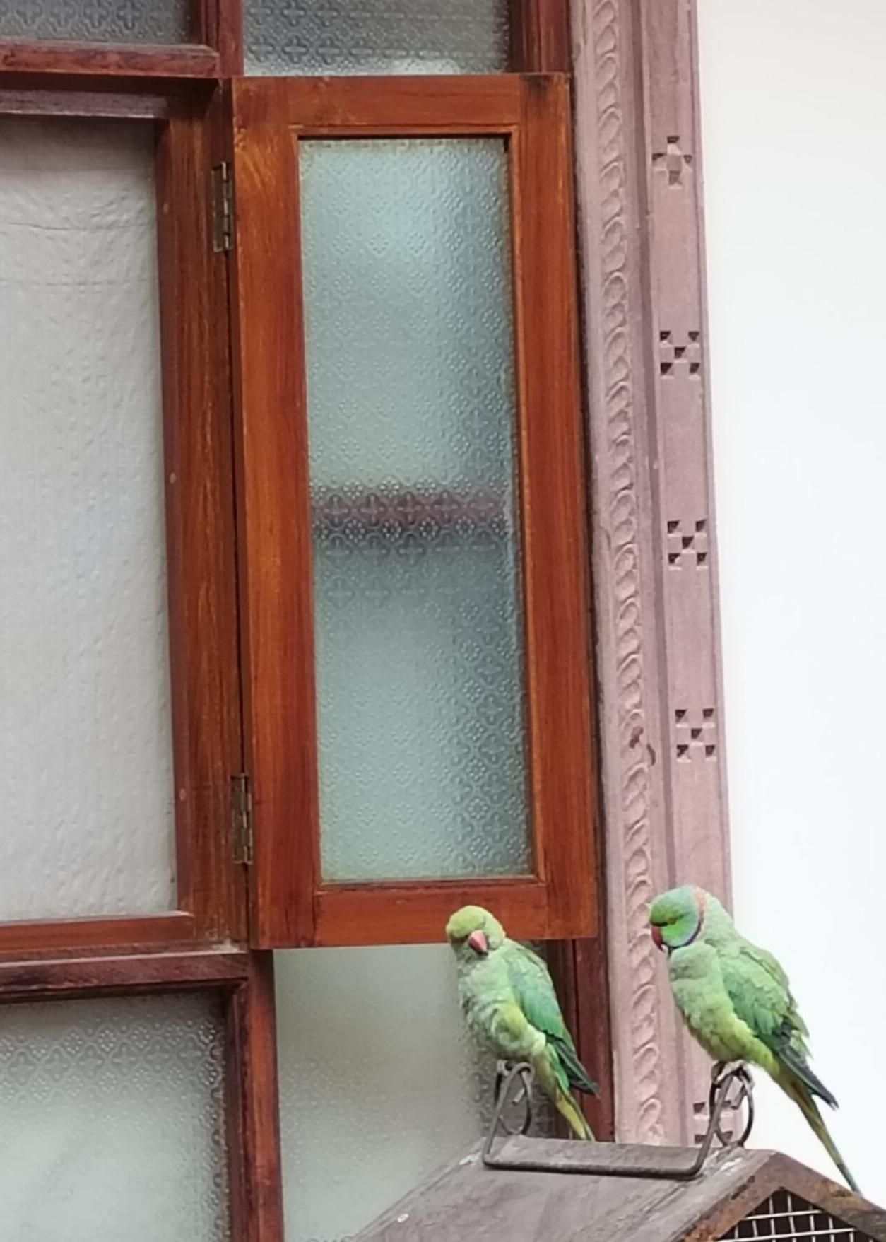 Rigmor Haveli Hotel Jodhpur  Luaran gambar